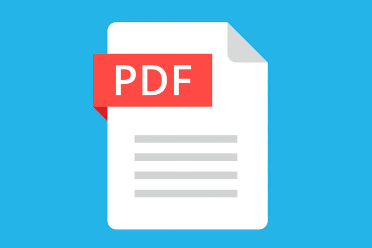 PDFs - Popular but not always accessible